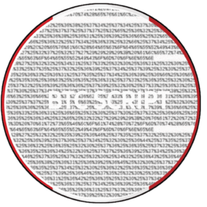 Blockchain Unconfirmed Transaction Hack Script