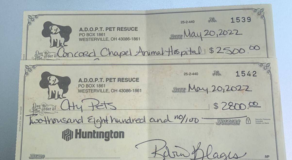 HUNTINGTON_BANK DEPOSIT CHECK | $2000 - $5000 | CVV Dumps