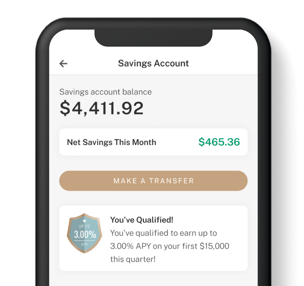 Blockchain Log | 4000+ USD Balance